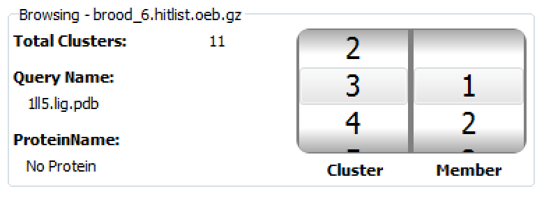 VIDA cluster browser Browsing section