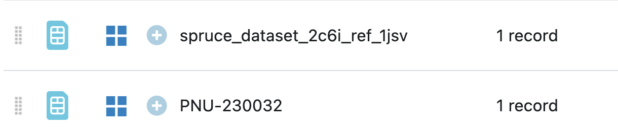 Image of spruce datasets clarifying that they have a single record each.