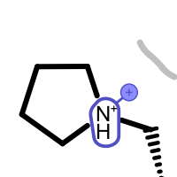 ../_images/unpairedmap2img-saltbridge-unpaired-positive-ligand.png