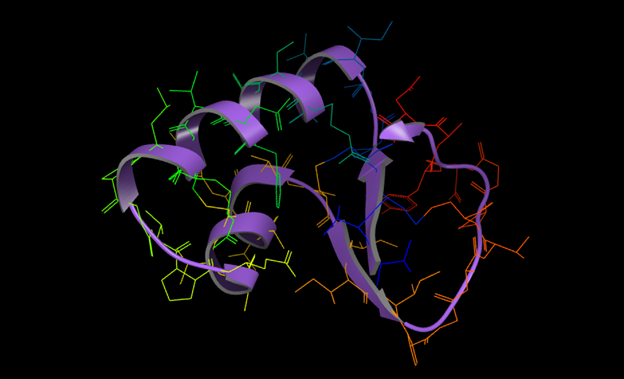 ../../_images/proteinSeq.png