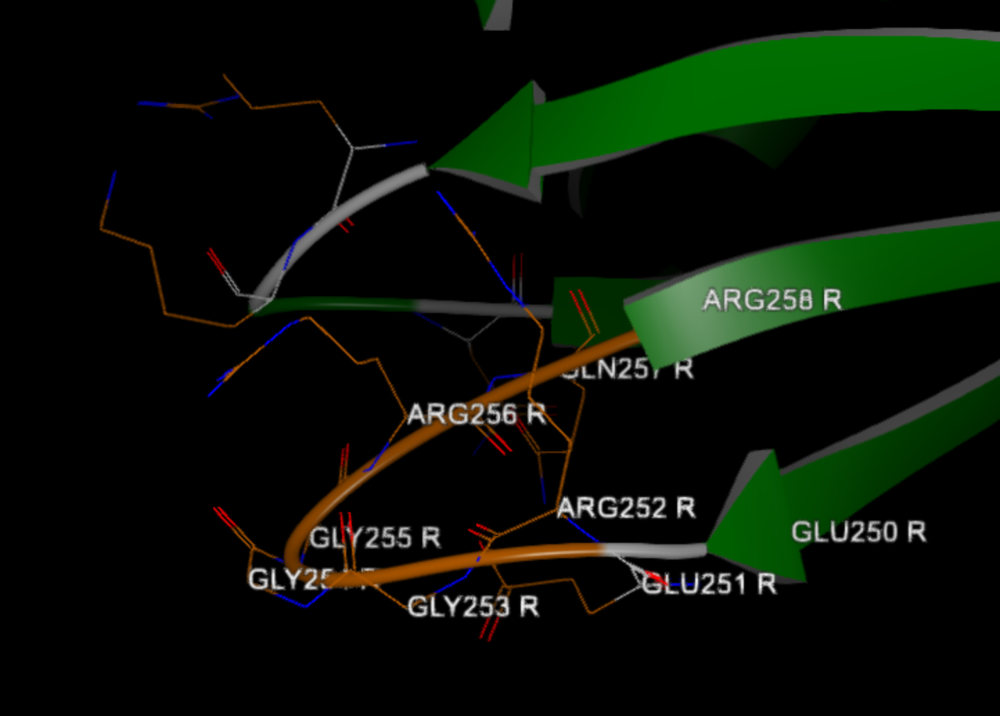 *Built loop between Arg 252 nd Gln 257 in chain R*